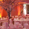 Castleknock Hotel image